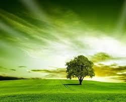sortie à BERDOUES, Gers. VIVE LES VERS VERTS ! Sortir à BERDOUES(Gers). BERDOUES.