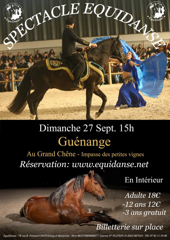sortie à GUENANGE, Moselle. SPECTACLE EQUIDANSE Sortir à GUENANGE(Moselle). GUENANGE.