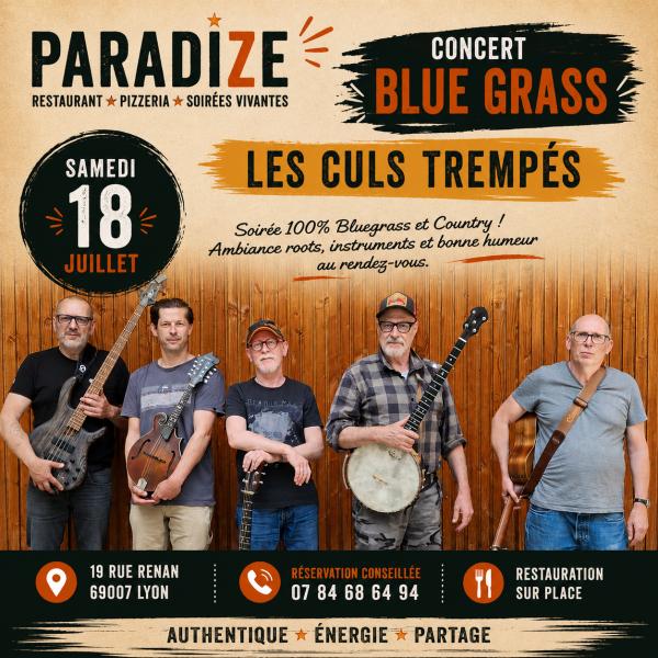 sortie à LYON, Rhône. DINER CONCERT FOLK BLUE GRASS Sortir à LYON(Rhône). LYON.