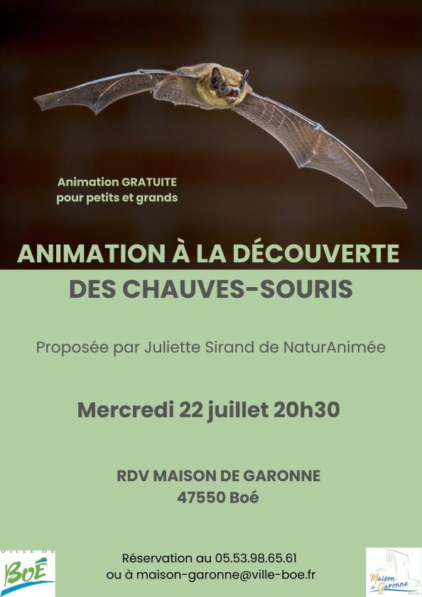sortie à BOE, Lot et Garonne. MAISON DE GARONNE : DÉCOUVERTE DES CHAUVES-SOURIS Sortir à BOE(Lot et Garonne). BOE.
