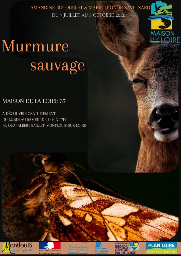 sortie à MONTLOUIS SUR LOIRE, Indre et Loire. MURMURE SAUVAGE Sortir à MONTLOUIS SUR LOIRE(Indre et Loire). MONTLOUIS SUR LOIRE.