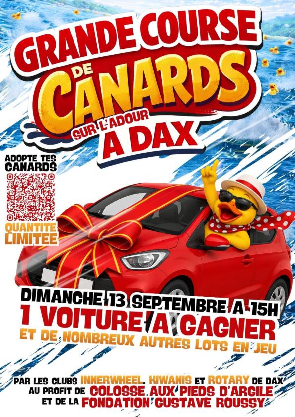 sortie à DAX, Landes. COURSE DE CANARD Sortir à DAX(Landes). DAX.