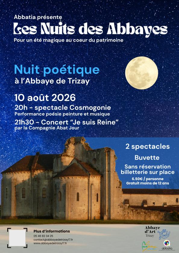 sortie à TRIZAY, Charente Maritime. LA NUIT DES ABBAYES Sortir à TRIZAY(Charente Maritime). TRIZAY.