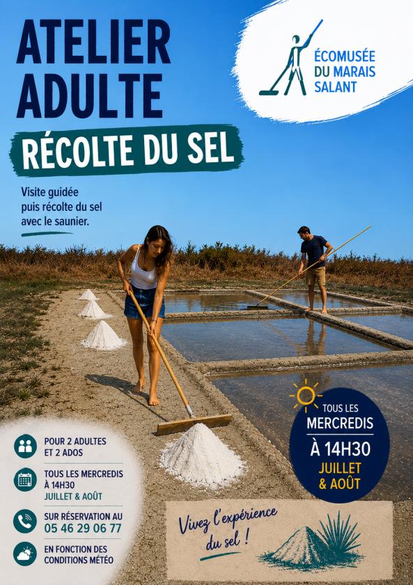 Sortir &agrave; LOIX(Charente Maritime). LOIX.