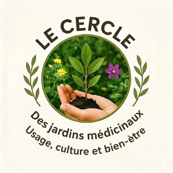 sortie à MARQUISE, Pas de Calais. VISITE DU JARDIN DU CHÂTEAU MOLLACK, À MARQUISE Sortir à MARQUISE(Pas de Calais). MARQUISE.