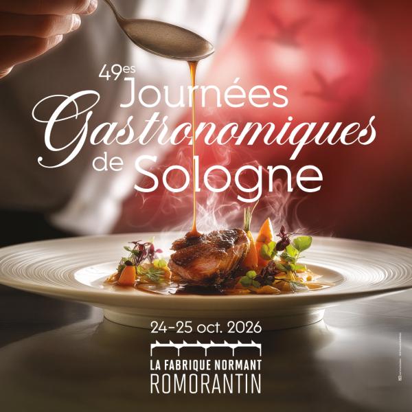 Sortir &agrave; ROMORANTIN LANTHENAY(Loir et Cher). ROMORANTIN LANTHENAY.