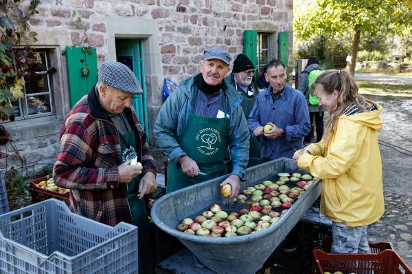 sortie à UNGERSHEIM, Haut Rhin. AU NOM DE LA POMME Sortir à UNGERSHEIM(Haut Rhin). UNGERSHEIM.