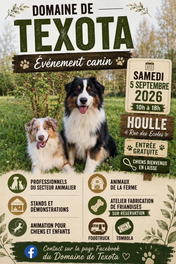 sortie à HOULLE, Pas de Calais. EVÉNEMENT CANIN AU DOMAINE DE TEXOTA Sortir à HOULLE(Pas de Calais). HOULLE.