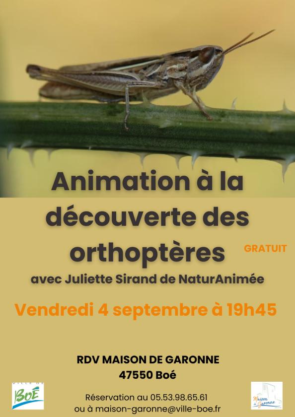 sortie à BOE, Lot et Garonne. ANIMATION À LA DÉCOUVERTE DES ORTHOPTÈRES Sortir à BOE(Lot et Garonne). BOE.