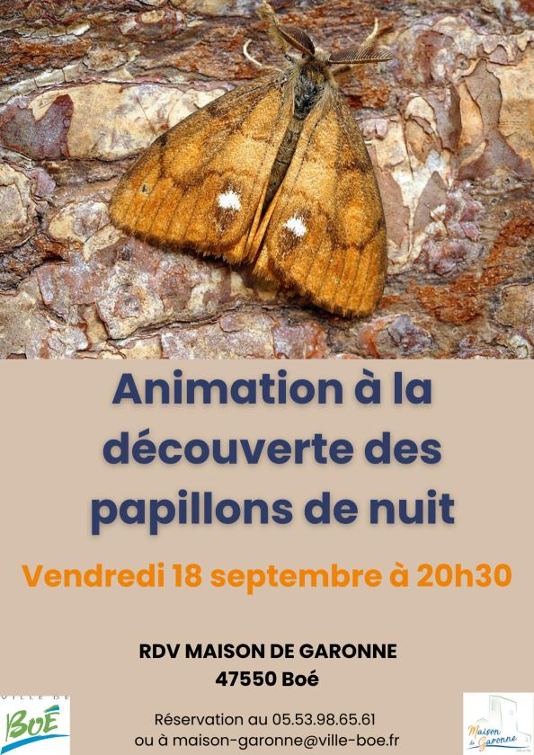 sortie à BOE, Lot et Garonne. ANIMATION DÉCOUVERTE DES PAPILLONS DE NUIT Sortir à BOE(Lot et Garonne). BOE.