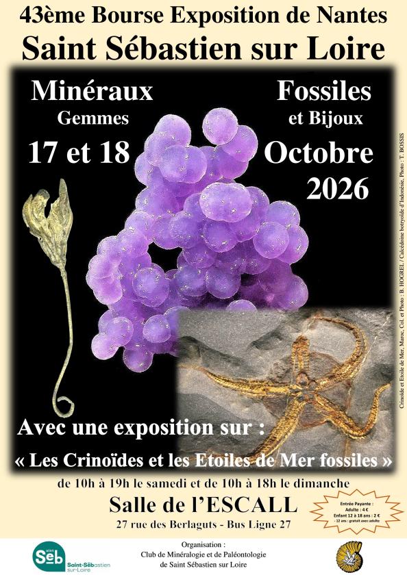 Sortir &agrave; ST SEBASTIEN SUR LOIRE(Loire Atlantique). ST SEBASTIEN SUR LOIRE.
