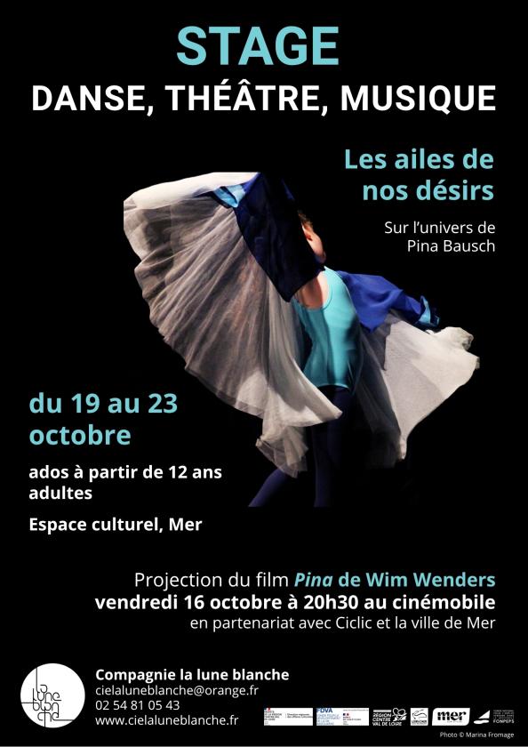 sortie à MER, Loir et Cher. STAGE DANSE, THÉÂTRE, MUSIQUE Sortir à MER(Loir et Cher). MER.