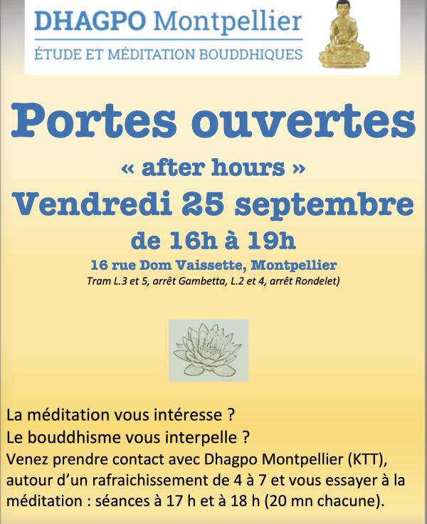 Sortir &agrave; MONTPELLIER(H&eacute;rault). MONTPELLIER.