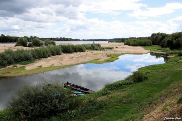 sortie à LE THOUREIL, Maine et Loire. RANDONNÉE PHOTOGRAPHIQUE « DE LA FORÊT À LA LOIRE Sortir à LE THOUREIL(Maine et Loire). LE THOUREIL.