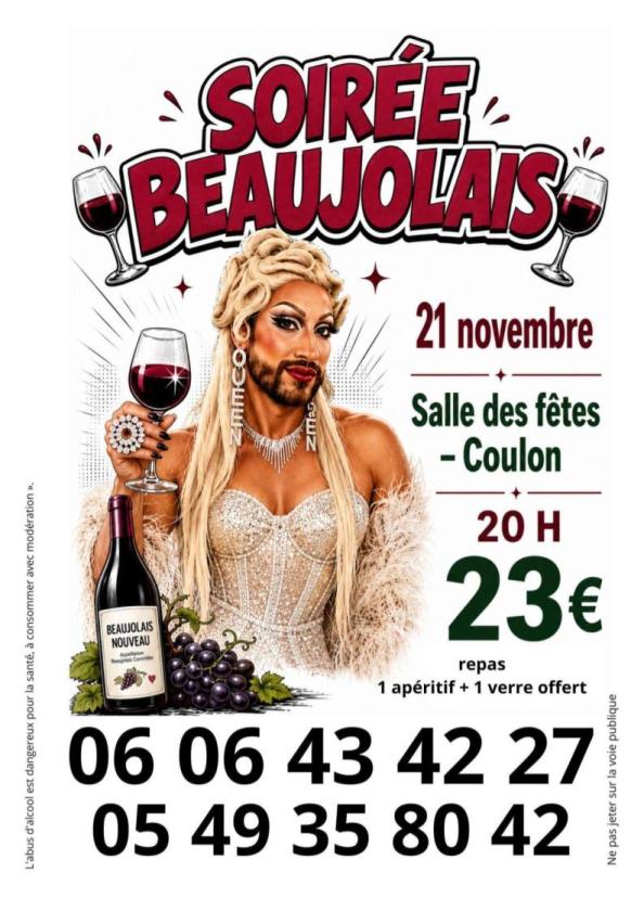 Sortir &agrave; COULON(Deux S&egrave;vres). COULON.
