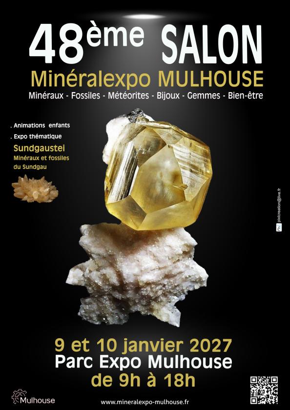 sortie à MULHOUSE, Haut Rhin. 48ÈME SALON MINÉRALEXPO-MULHOUSE Sortir à MULHOUSE(Haut Rhin). MULHOUSE.