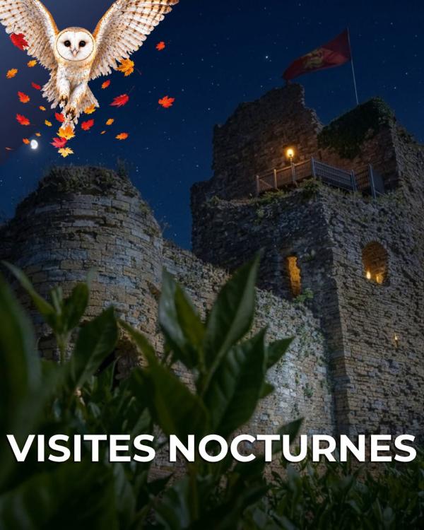 sortie à TALMONT ST HILAIRE, Vendée. UN CHÂTEAU SOUS LES ÉTOILES Sortir à TALMONT ST HILAIRE(Vendée). TALMONT ST HILAIRE.