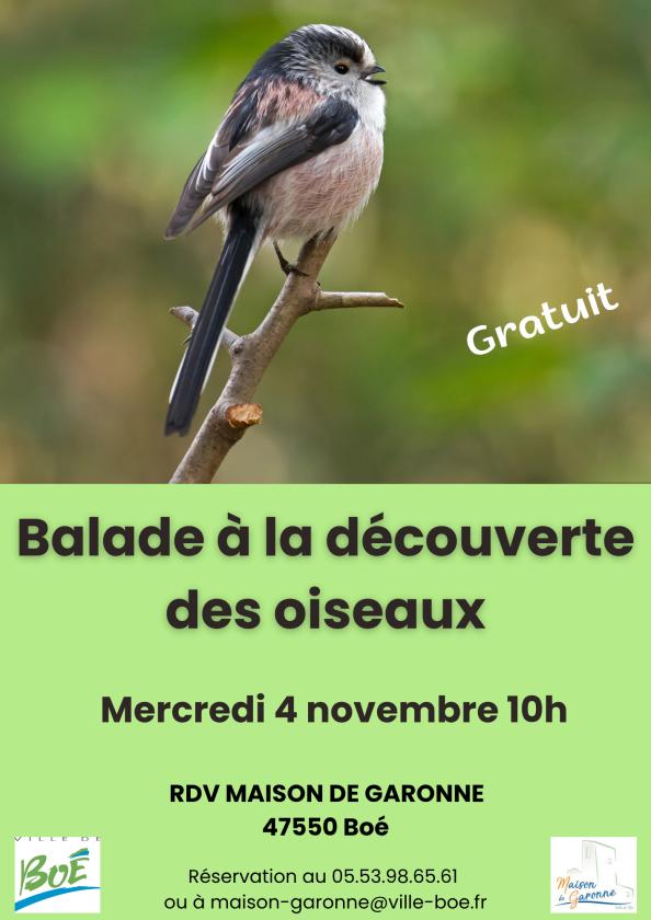 sortie à BOE, Lot et Garonne. BALADE NATURE À LA DÉCOUVERTE DES OISEAUX Sortir à BOE(Lot et Garonne). BOE.